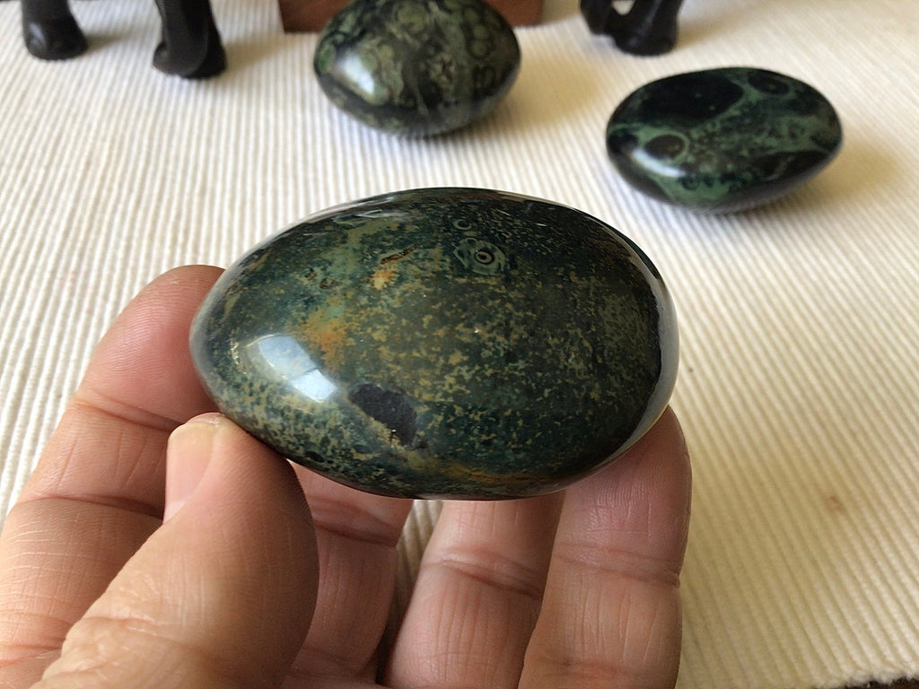 173g Kambaba Jasper Palmstone 4B