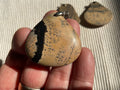18g “Chinese Picture Jasper” Pendant A