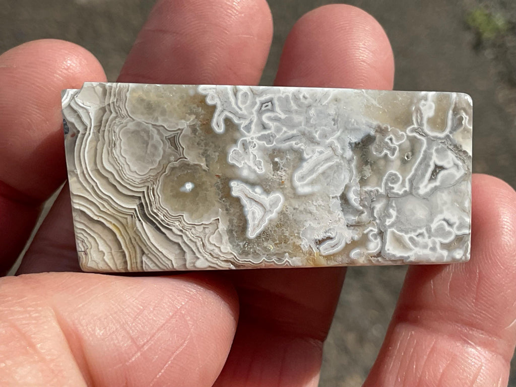 54g Mexican Crazy Lace Agate Freeform 12B