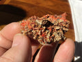 30g Crocoite Natural Specimen 4A