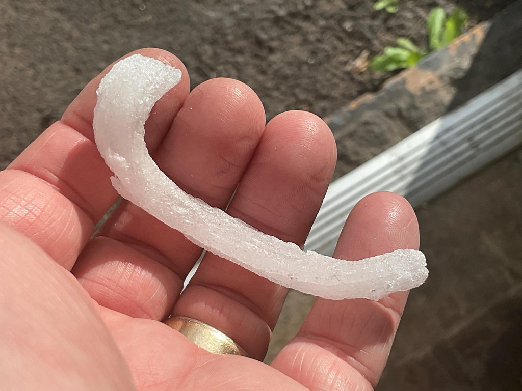 10g Rams Horn Selenite Specimen 4B