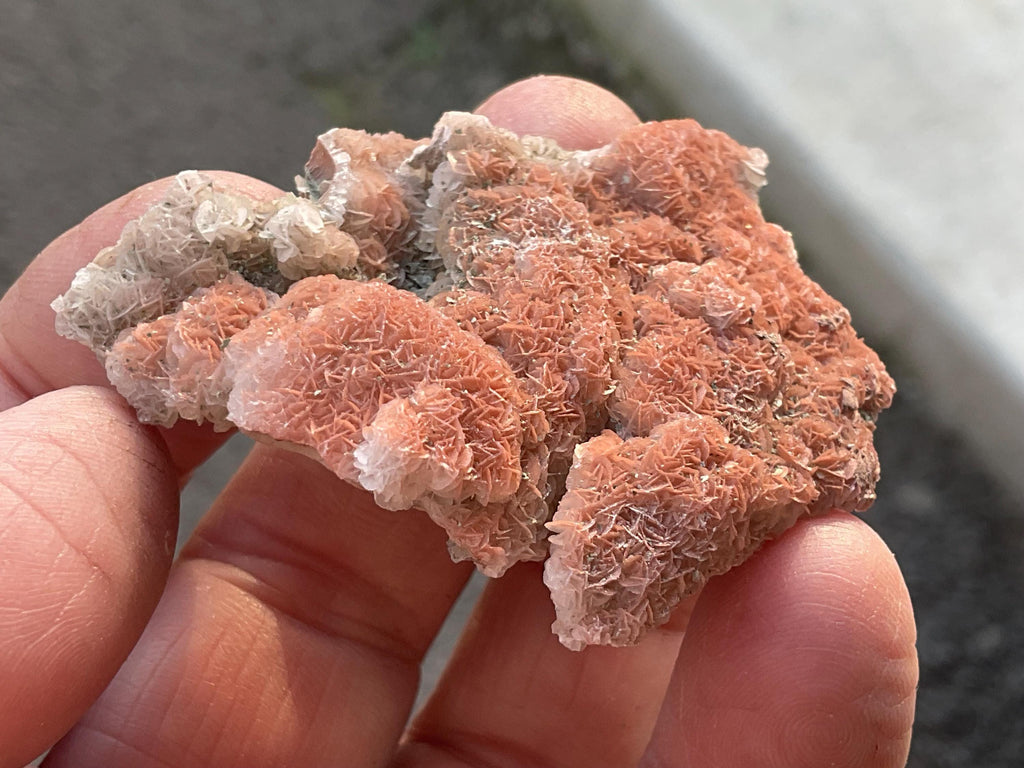 12g “Cherry Blossom” Pink Calcite Specimen A from Inner Mongolia