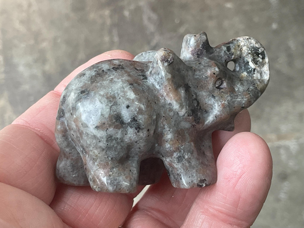 76g Syenite with Sodalite (Yooperlite) Elephant Carving C