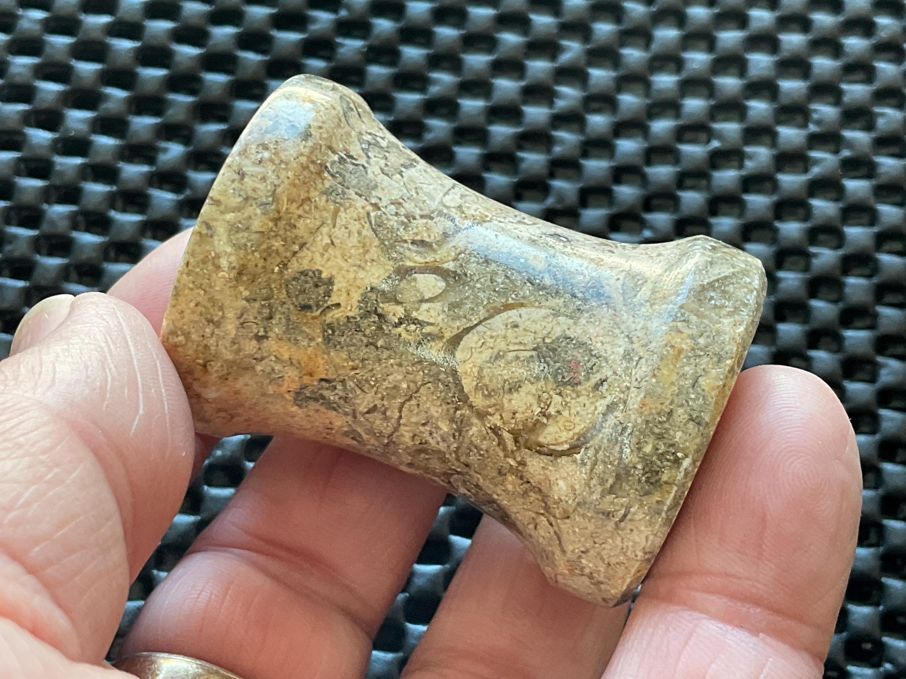 Fossilised Sea Bed Pedestal Sphere Stand 3A