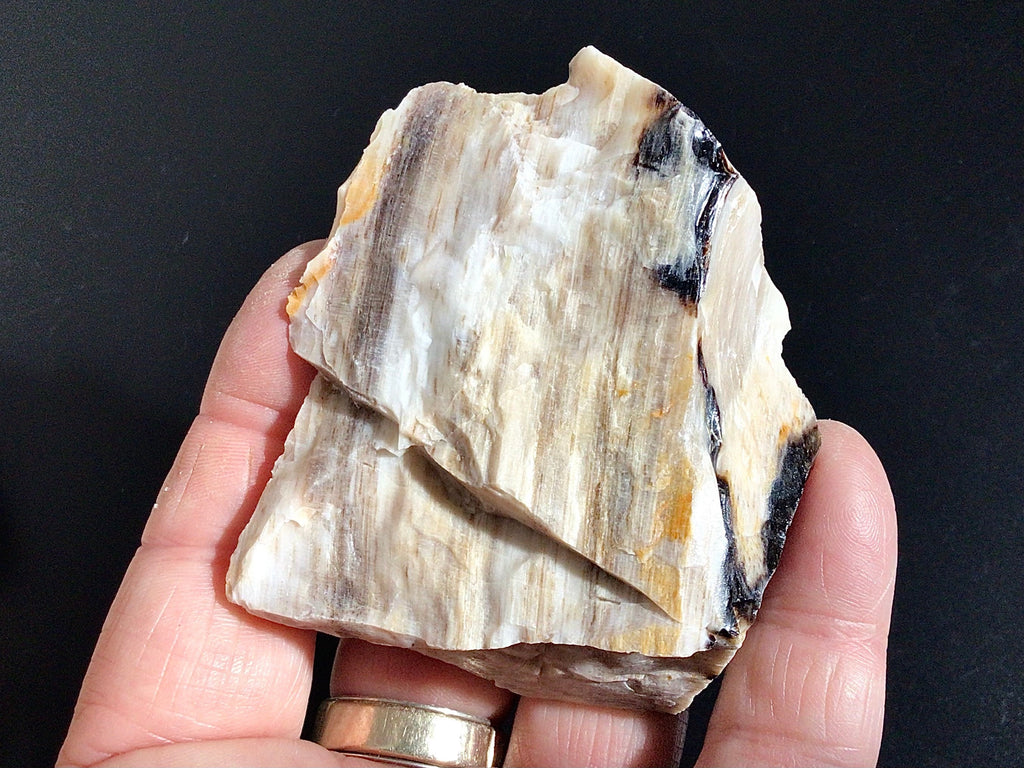 96g Natural Opalised Wood Rough Piece 2C