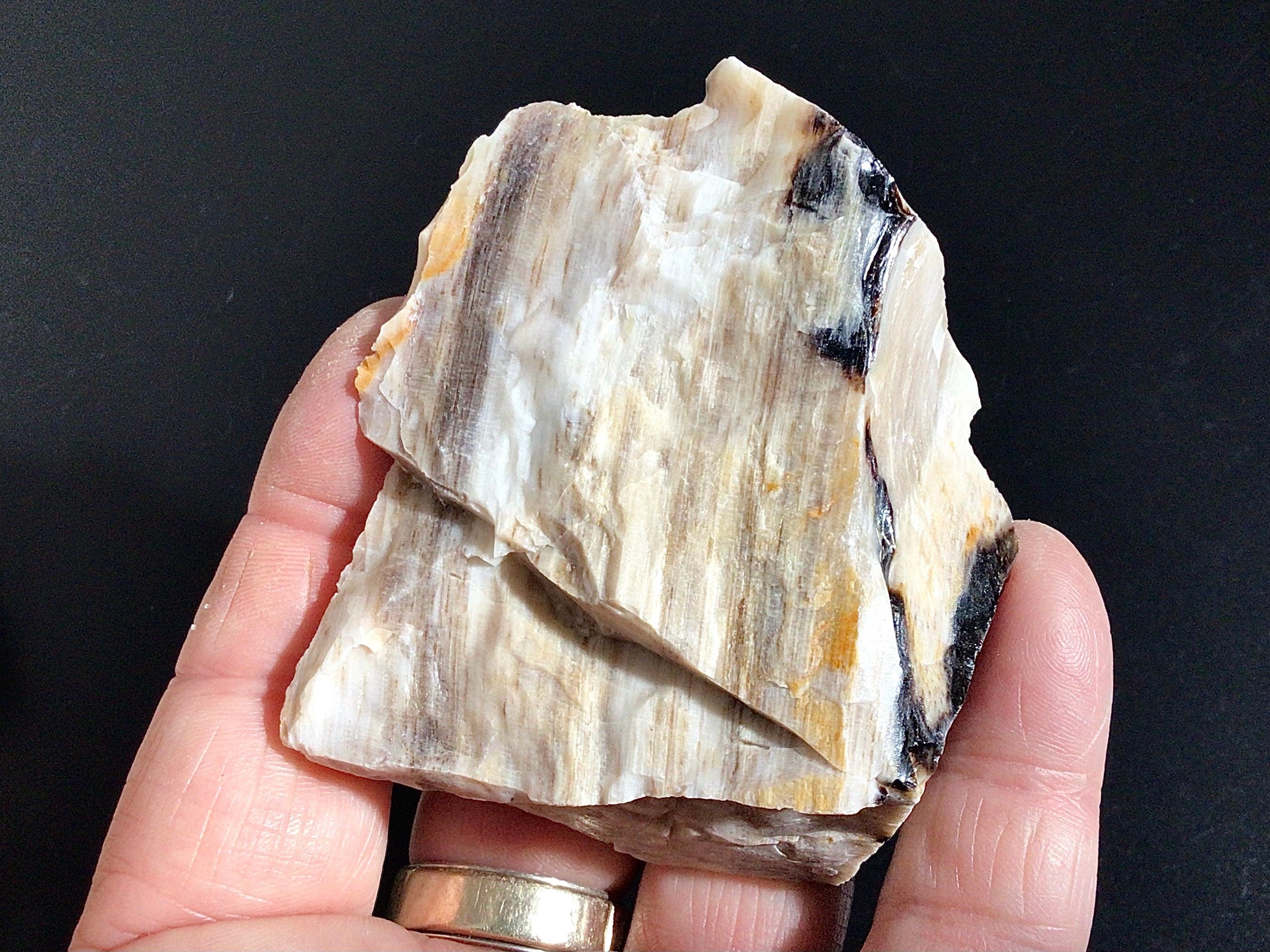96g Natural Opalised Wood Rough Piece 2C
