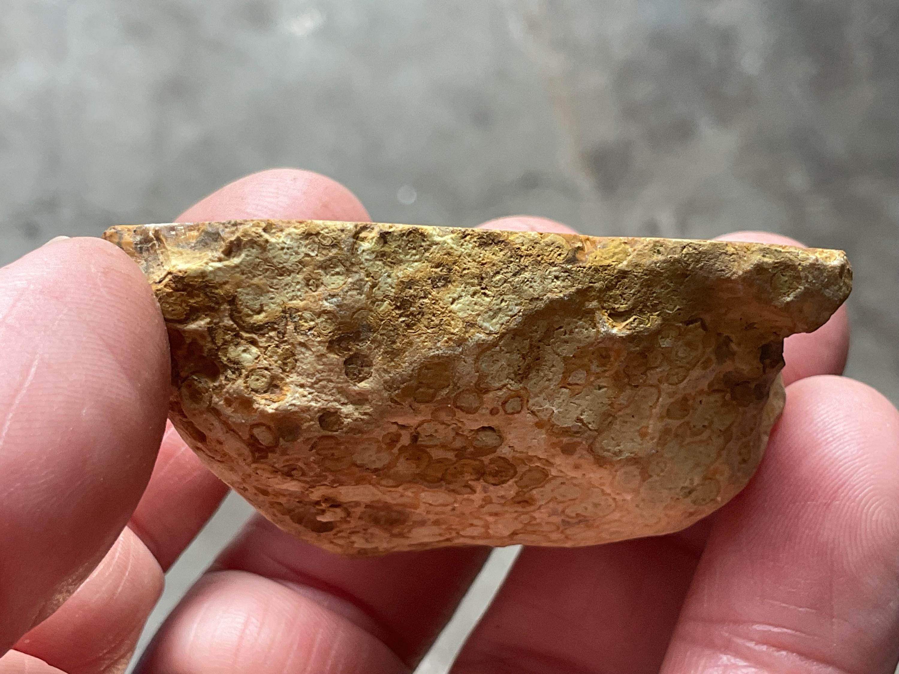 56g UV Reactive Polished Agate Half 2B