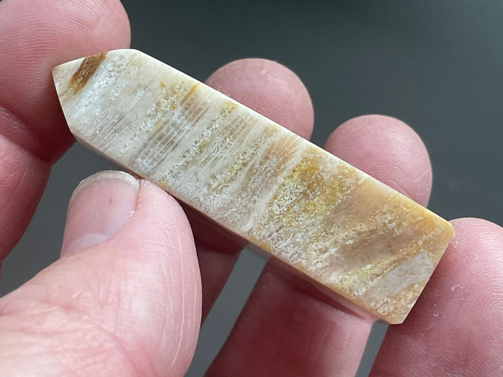 30g Fossilised Coral Generator 2C