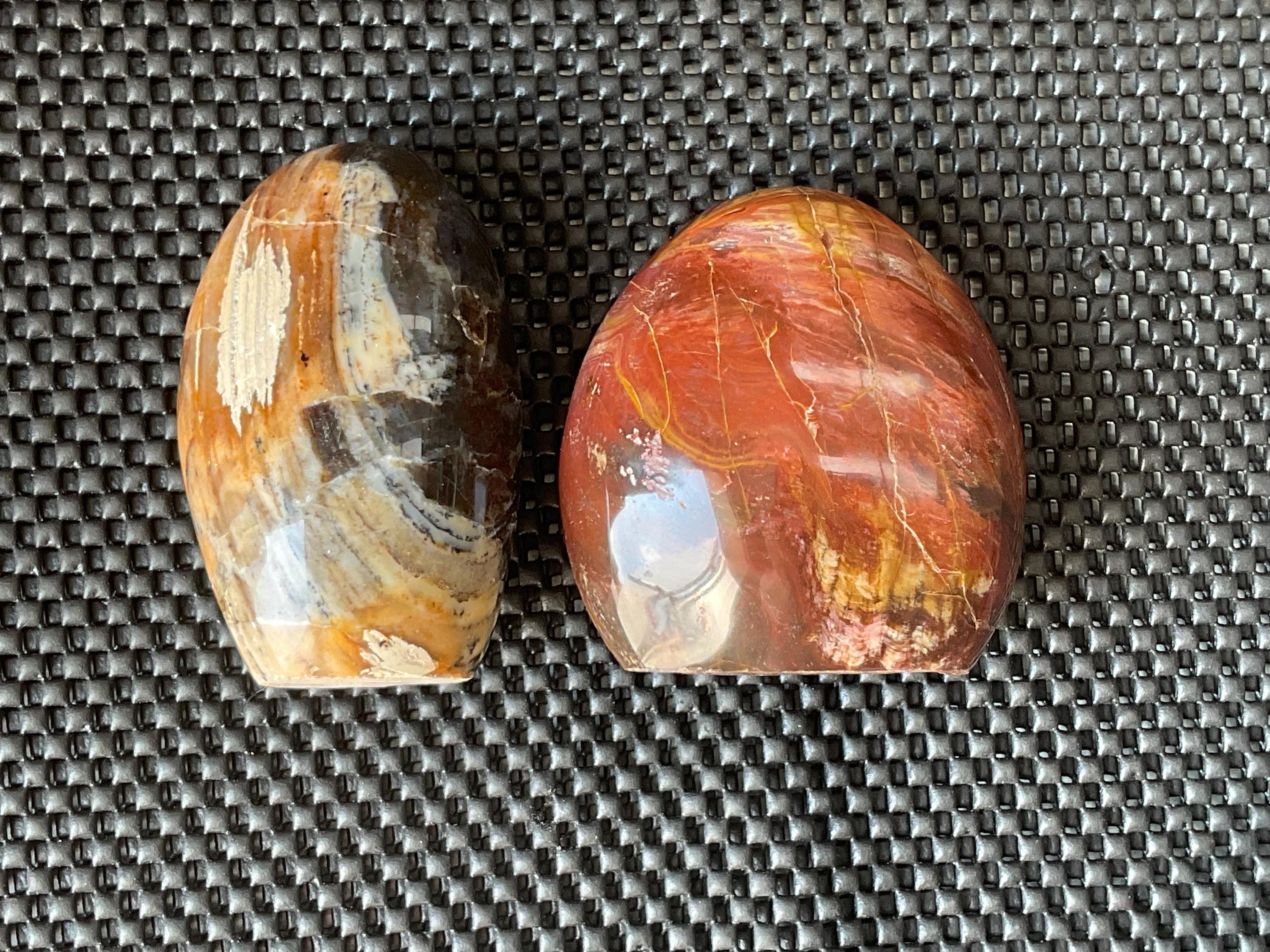 472g Petrified Wood Freeform B from Madagascar