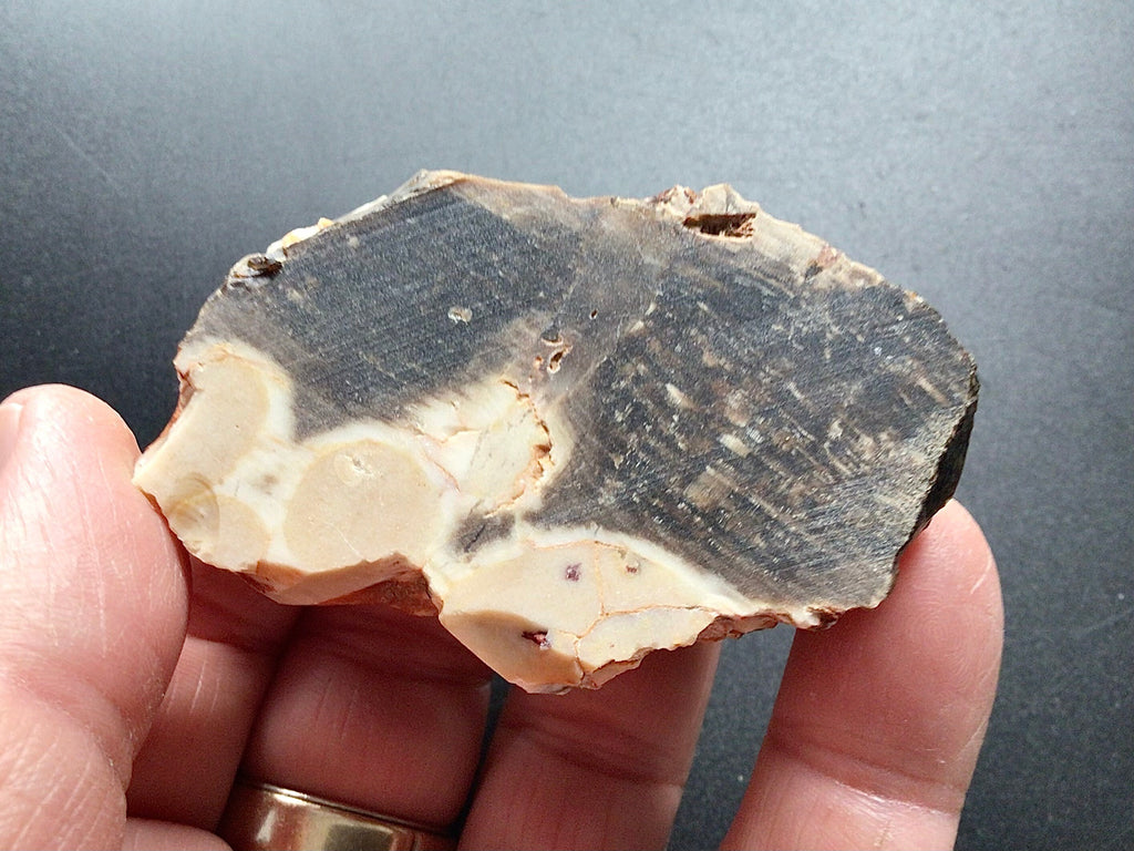 75g Sliced Western Australian Peanut Wood 4B