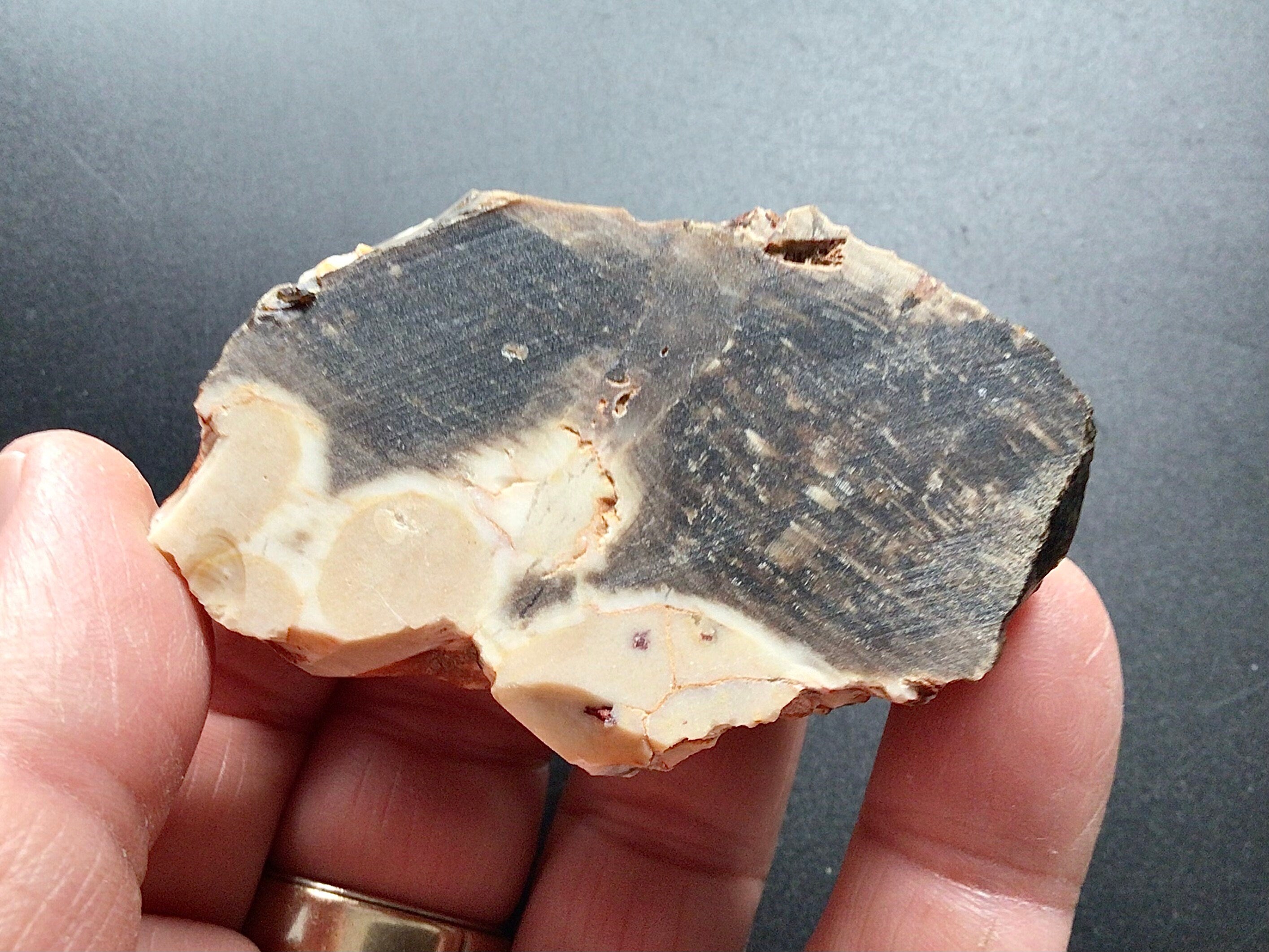 75g Sliced Western Australian Peanut Wood 4B