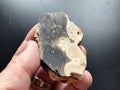 75g Sliced Western Australian Peanut Wood 4B