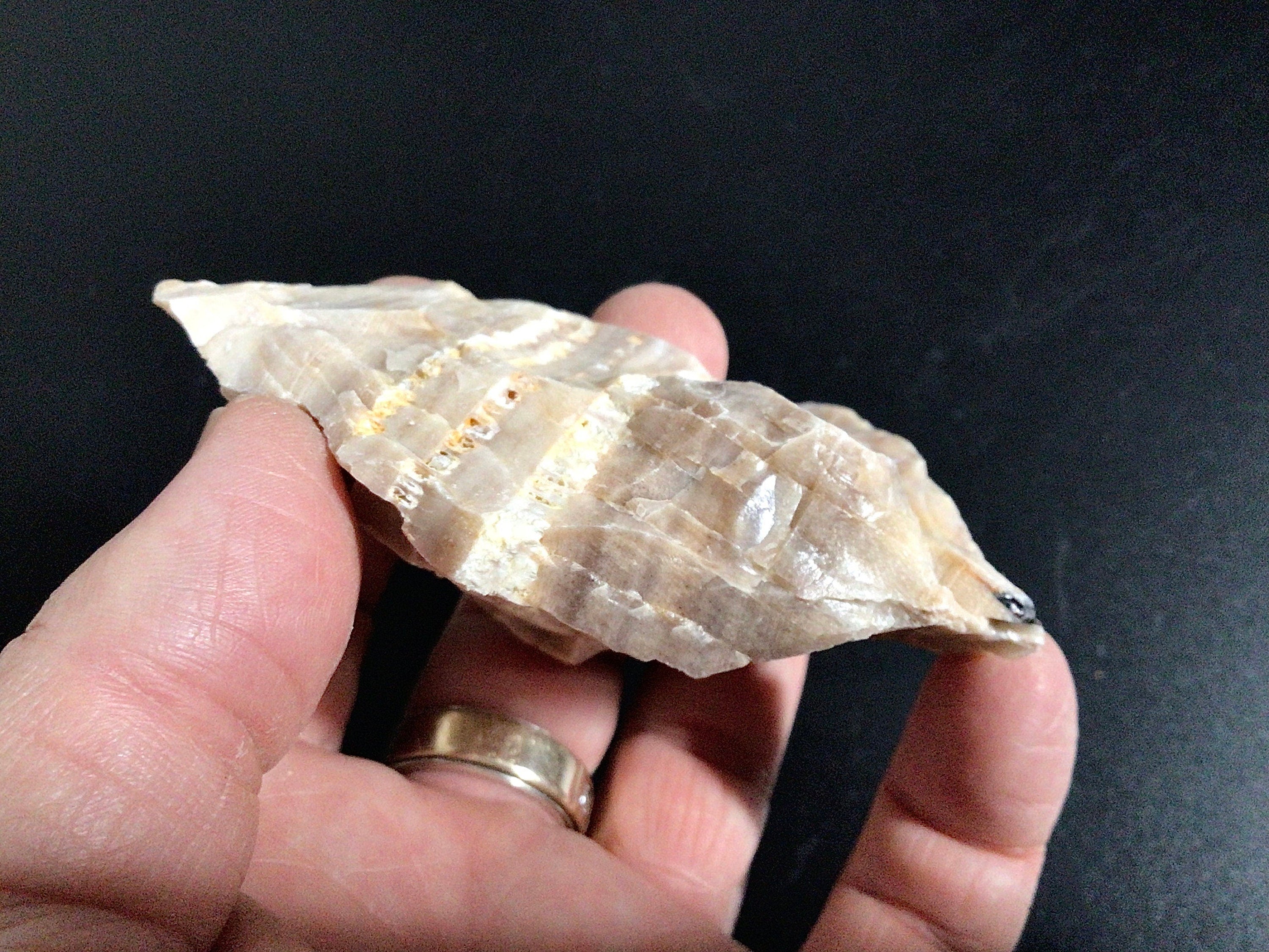 100g Natural Opalised Wood Rough Piece 2A