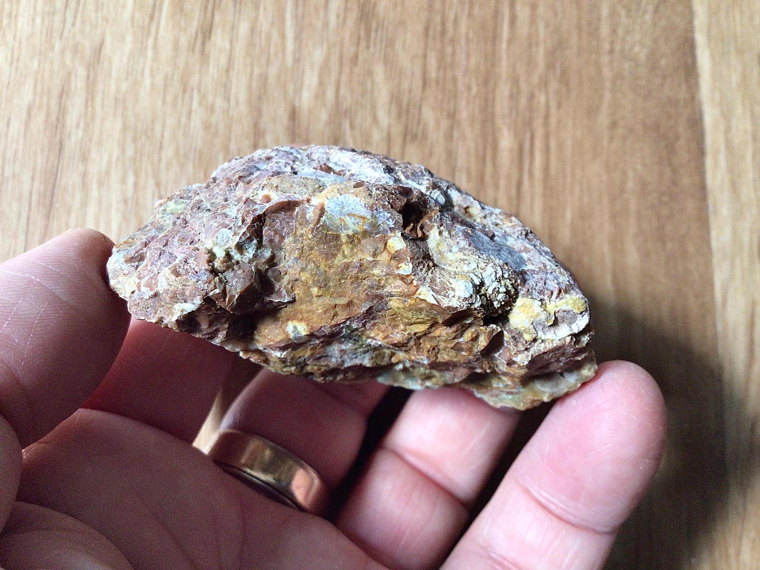 100g Mt Hay Rainforest Jasper Rough 2A