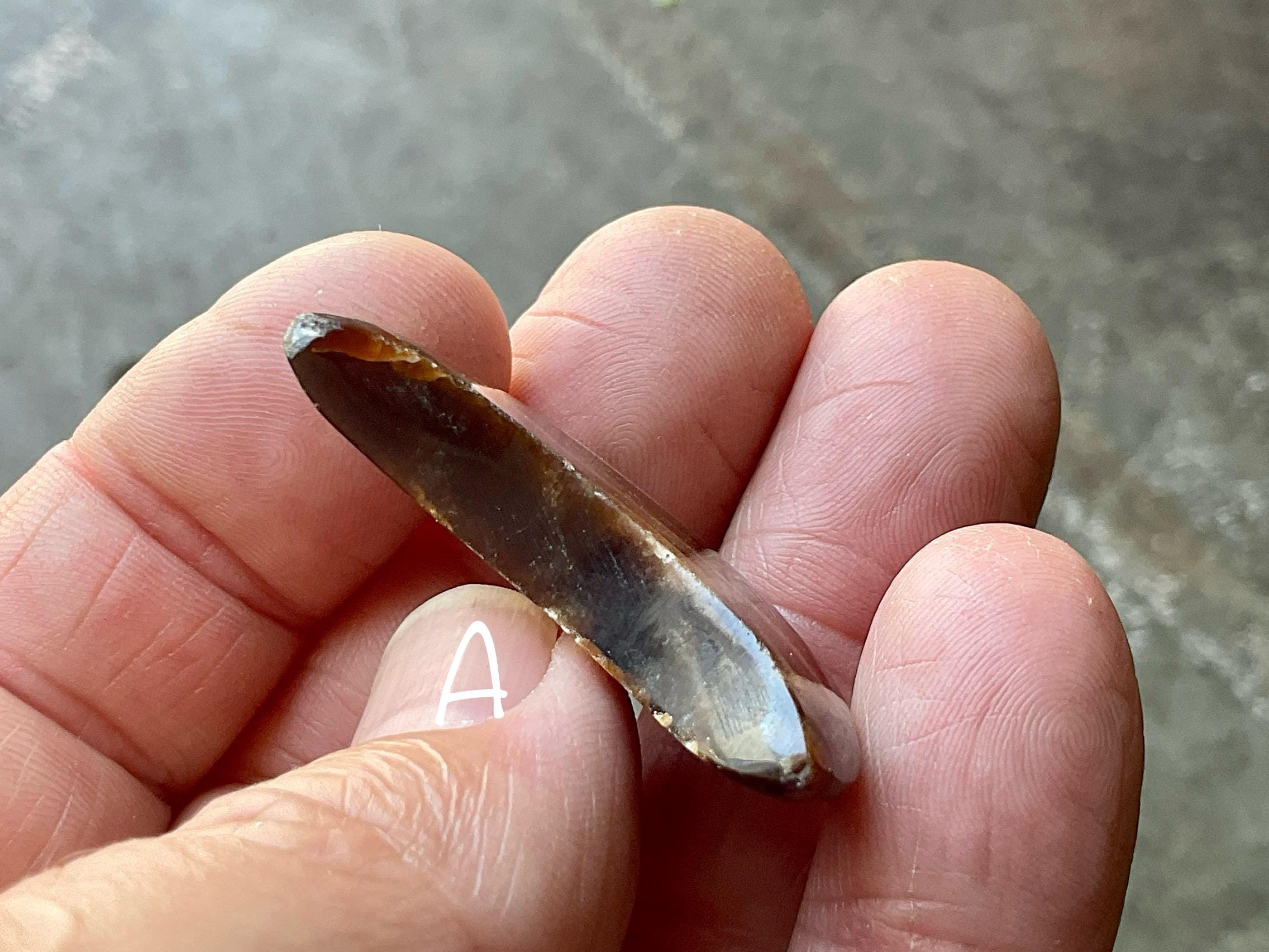 Chocolate Calcite Crescent Moon Carving A