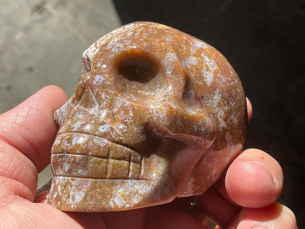 324g Ocean Jasper Skull C