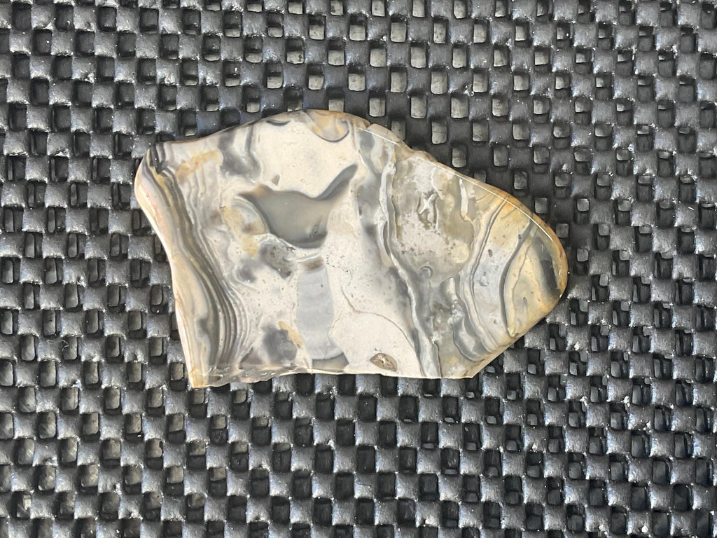 44g Polished Stromatolite Slice from Western Australia