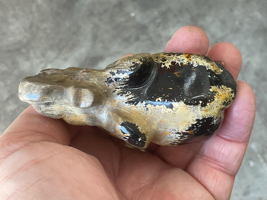 154g Picture/Desert Jasper Elephant A