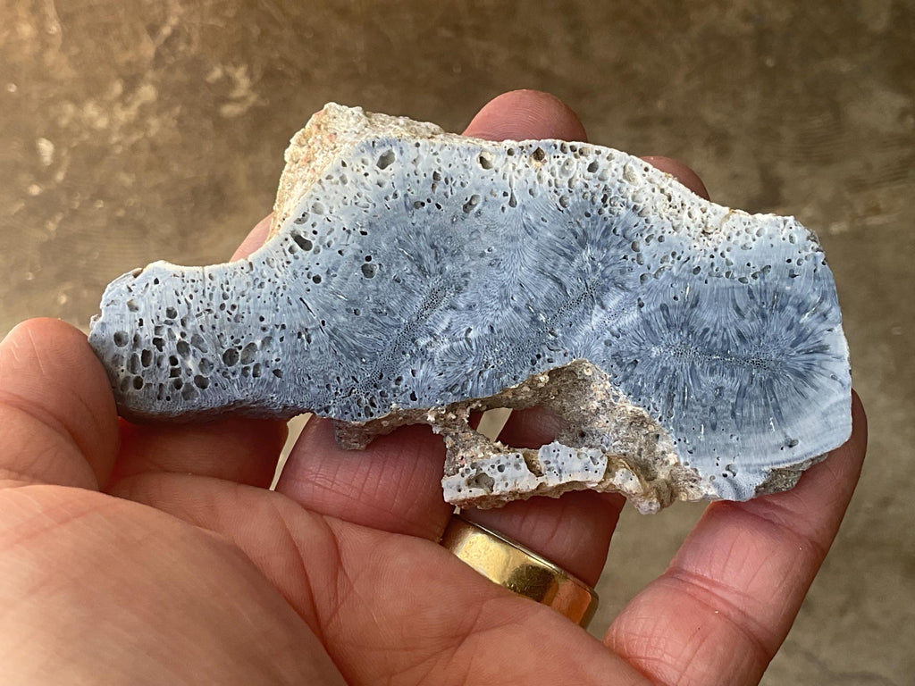 58g Natural Blue Coral Fossil Slab 3A