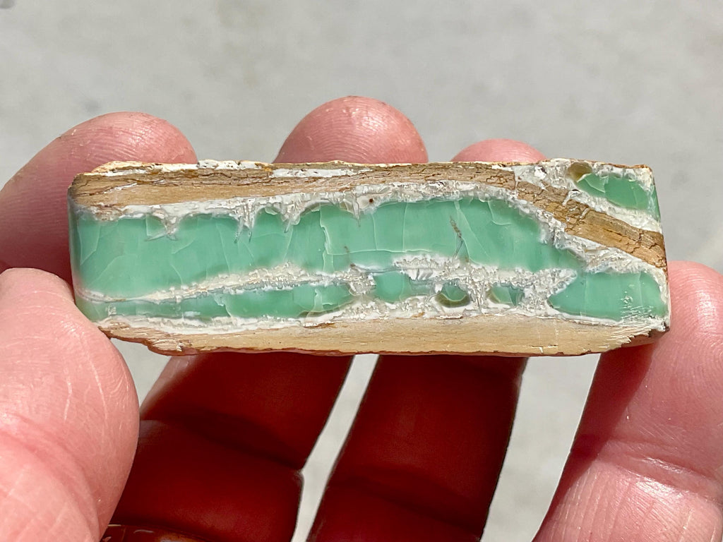44g Western Australian Variscite Polished Piece 2C