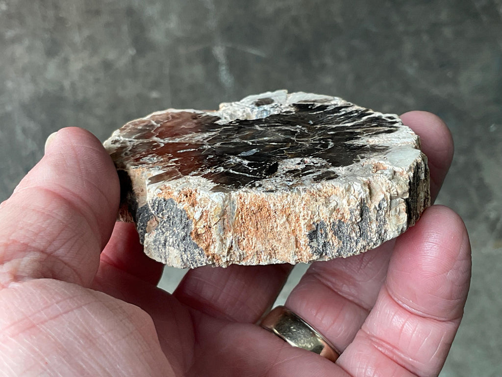 122g Indonesian Petrified Wood Polished Slab 1B