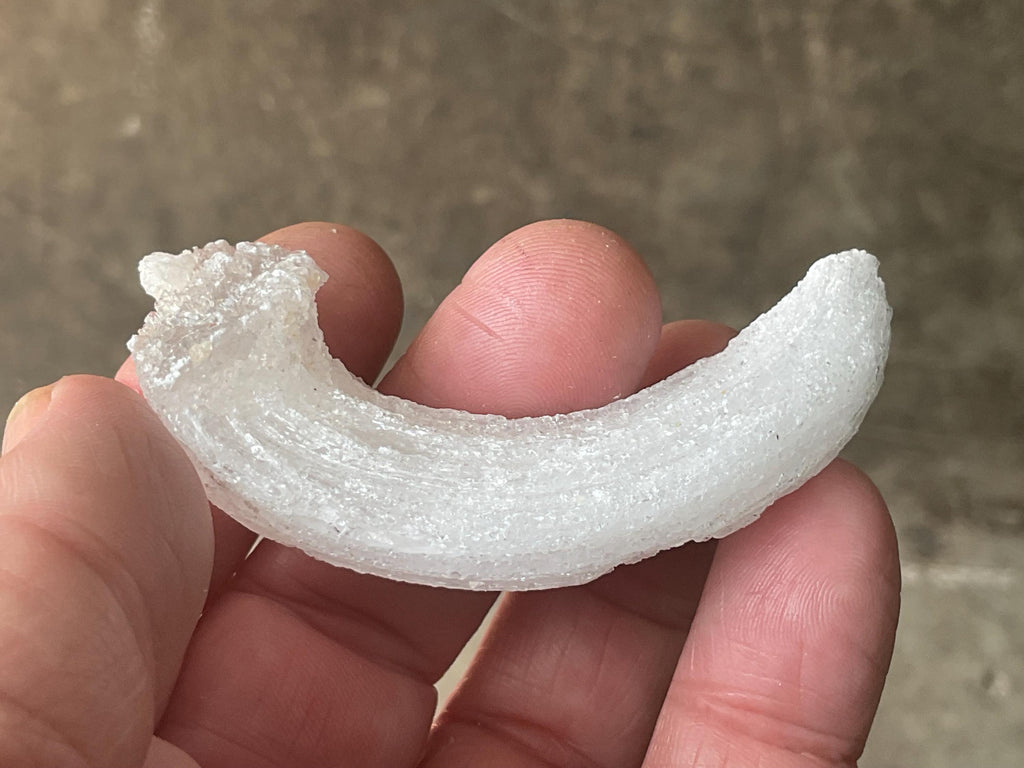 28g Rams Horn Selenite Specimen 6A