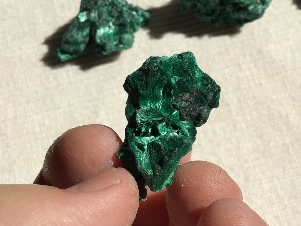 16g Silky Congolese Malachite Specimen 1C
