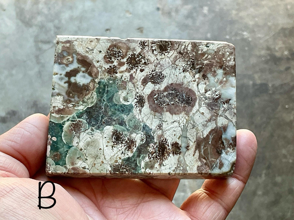 Green Cherry Blossom Jasper Polished Slabs Group 4