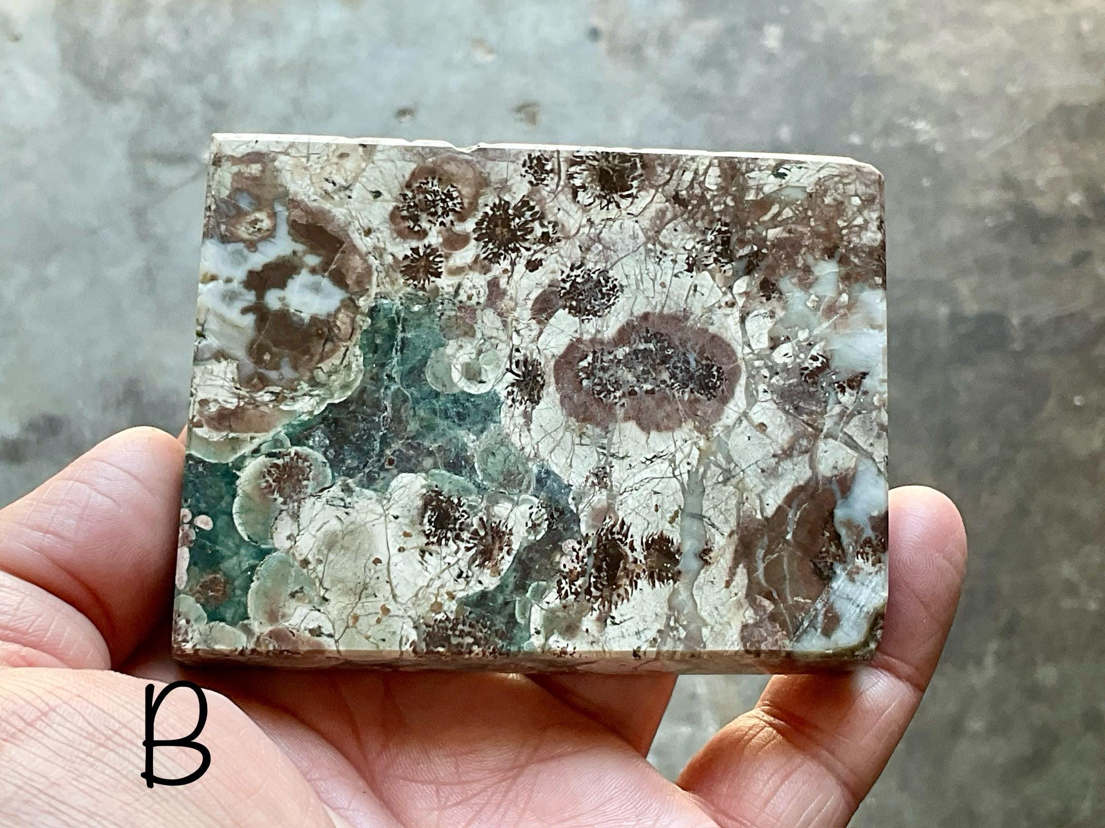 Green Cherry Blossom Jasper Polished Slabs Group 4