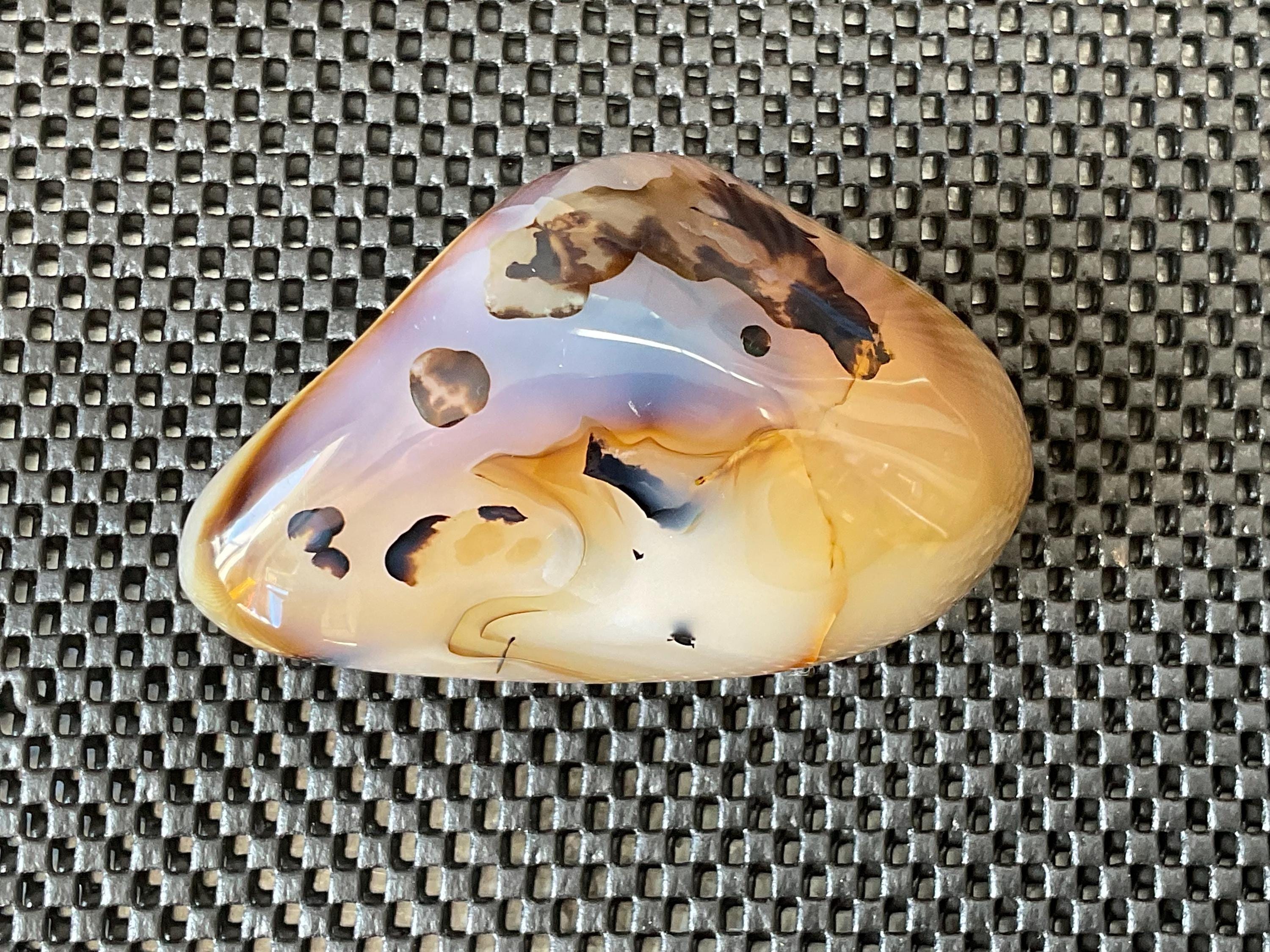 540g Dendritic Agate Freeform