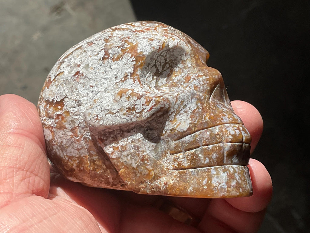 324g Ocean Jasper Skull C