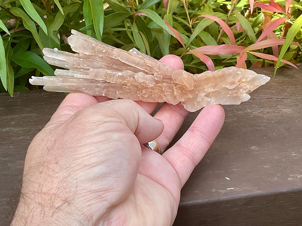 66g Gypsum (Selenite) Specimen from Lake Gilles, South Australia