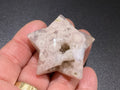 38g Flower Agate Star 8C
