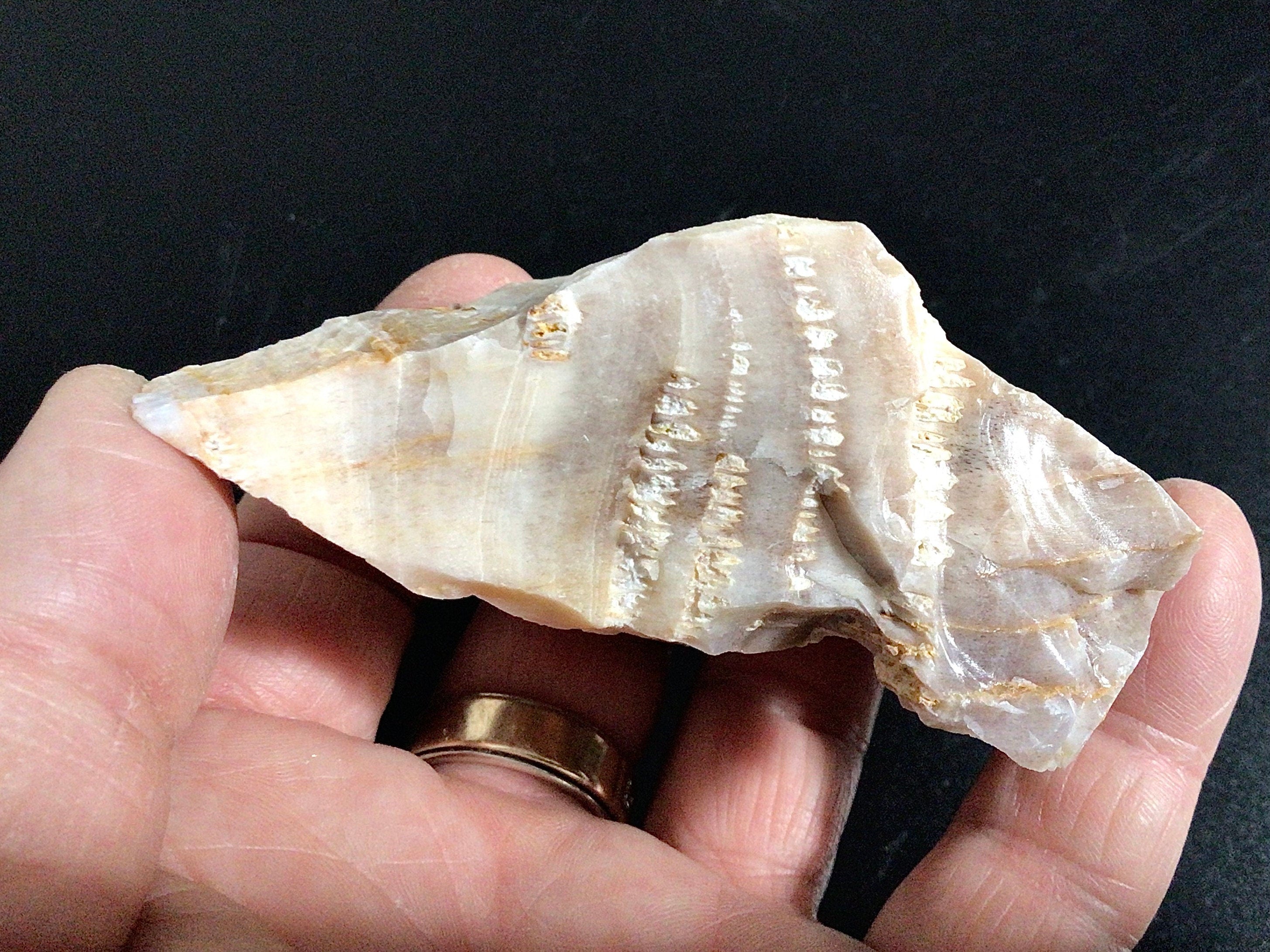 100g Natural Opalised Wood Rough Piece 2A