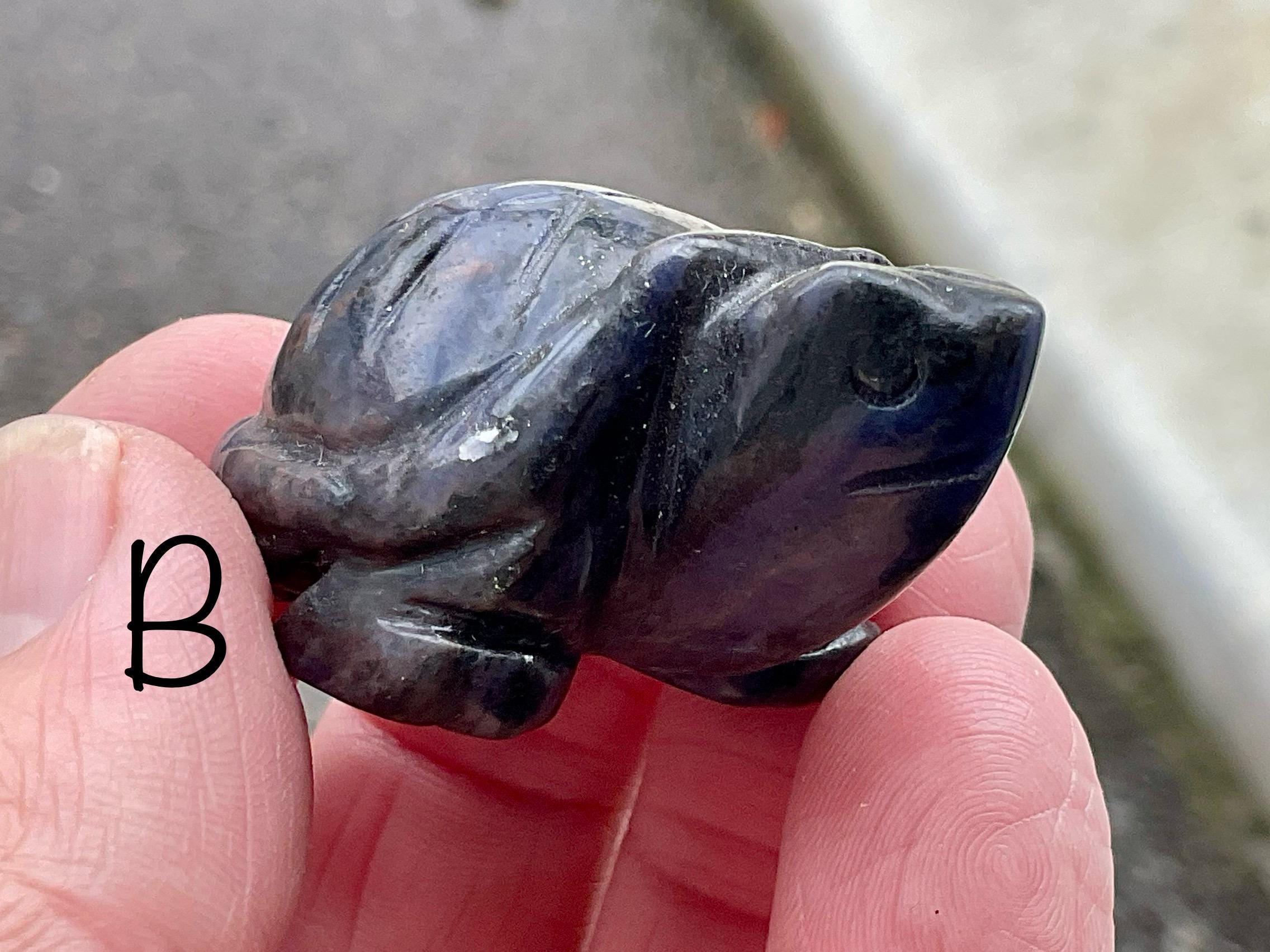 Sodalite Small Turtle Group 1