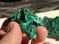 36g Silky Congolese Malachite Specimen 4B