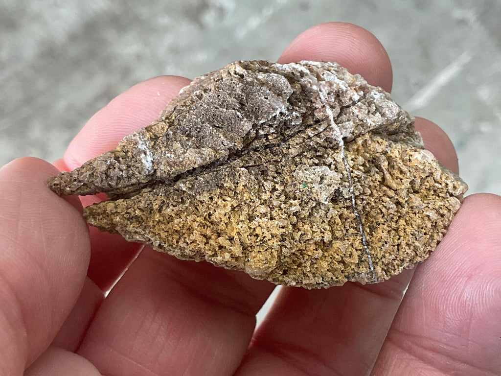 24g Botryoidal Malachite on Quartz Specimen C