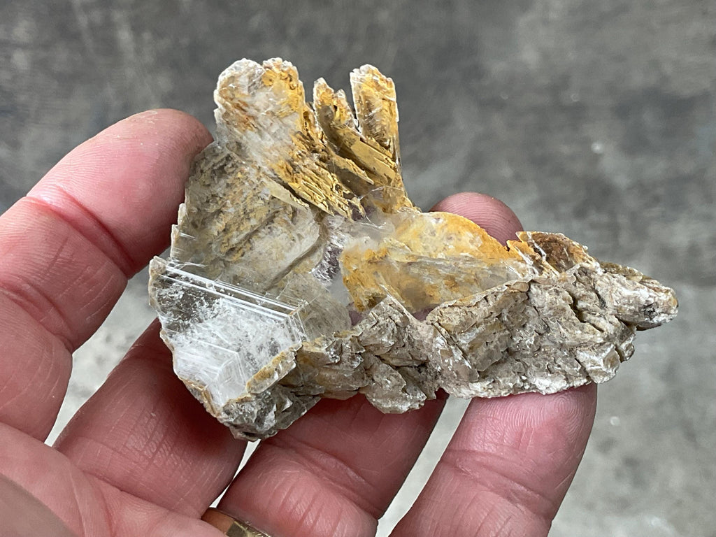 34g “Garden Selenite” Specimen 1B