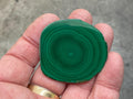 22g Malachite Stalactite Polished Slice A