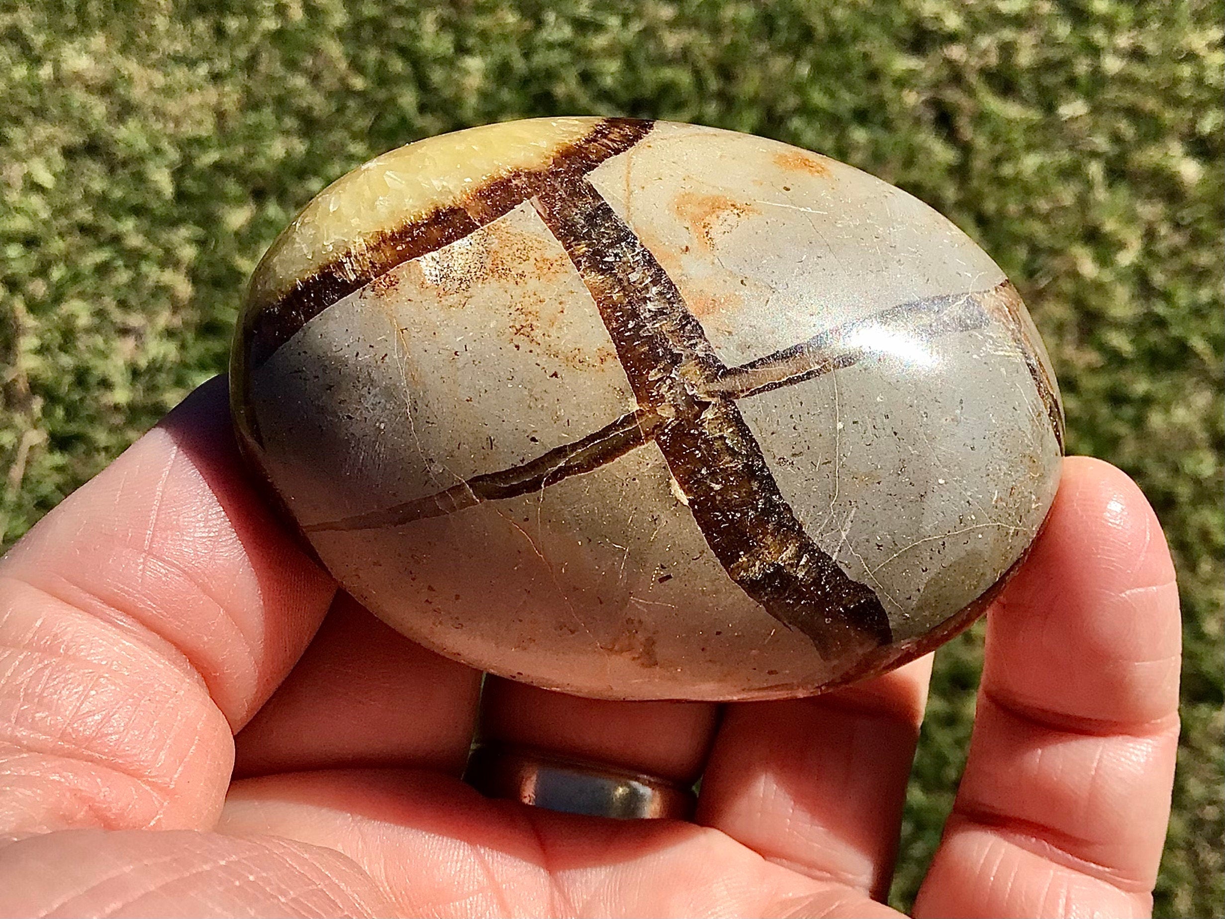 158g Madagascan Septarian Palmstone 2C