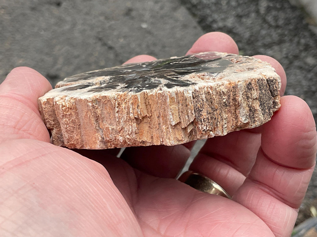 122g Indonesian Petrified Wood Polished Slab 1B