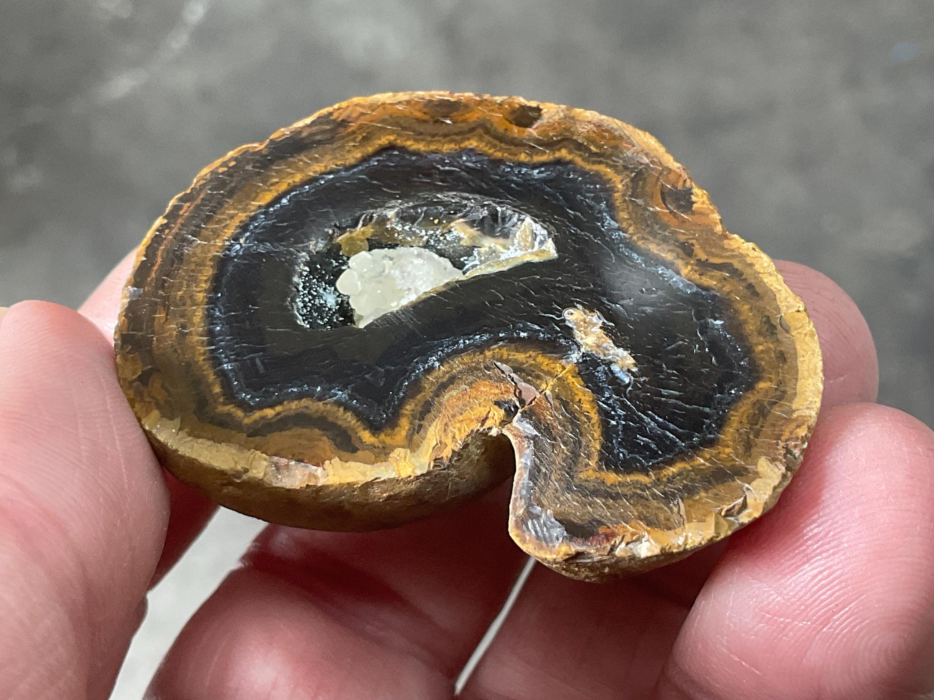 50g UV Reactive Polished Agate Half 2A
