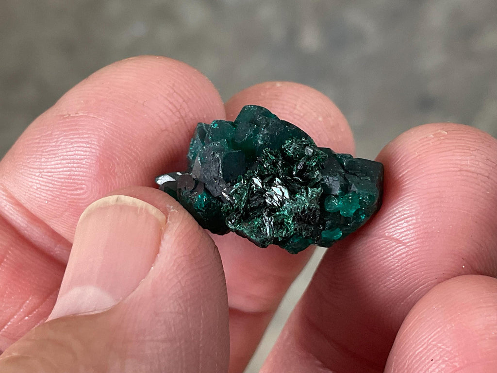 RESERVED FOR ASHRA ** 6g Congolese Dioptase Specimen B