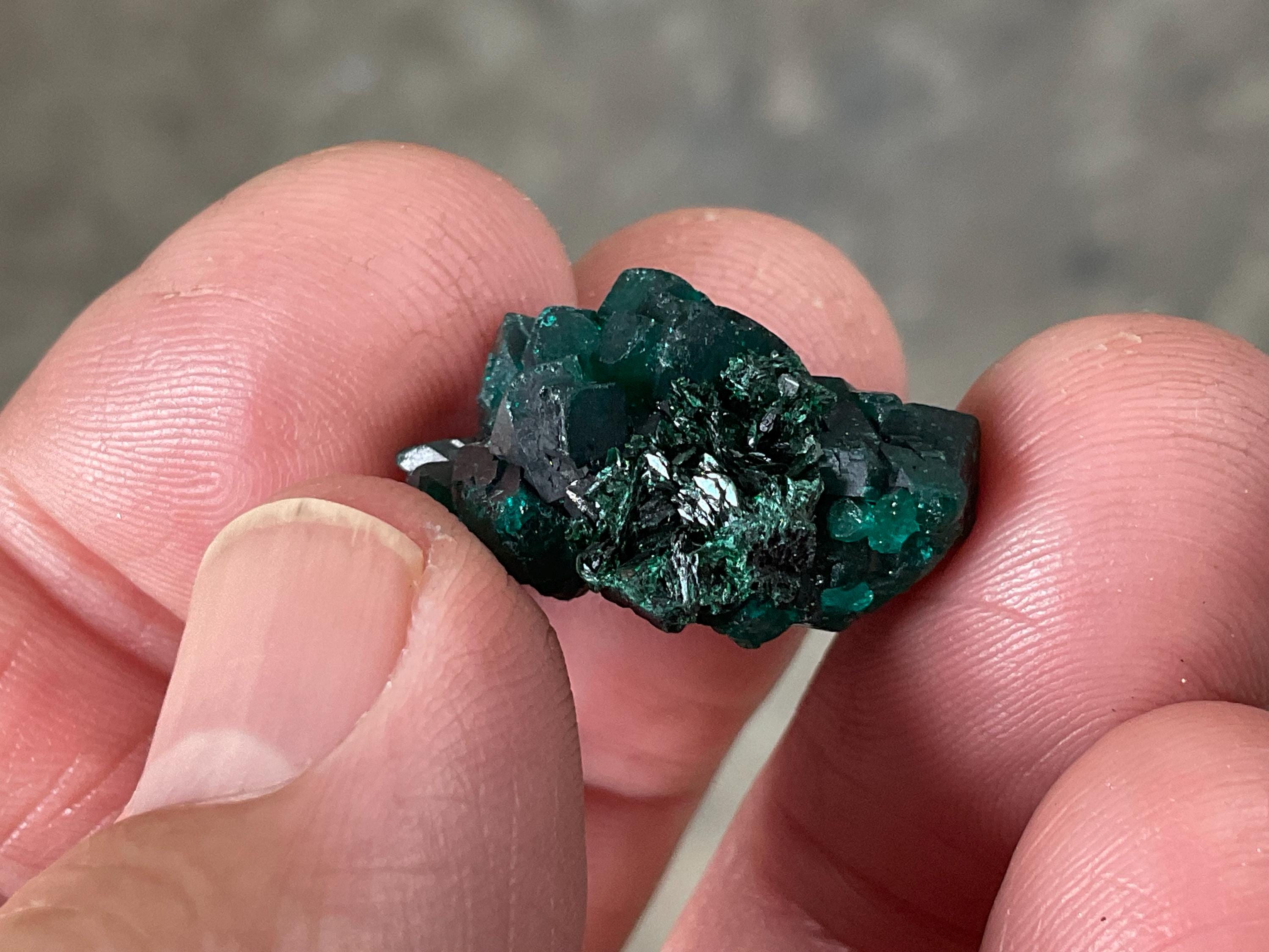 RESERVED FOR ASHRA ** 6g Congolese Dioptase Specimen B