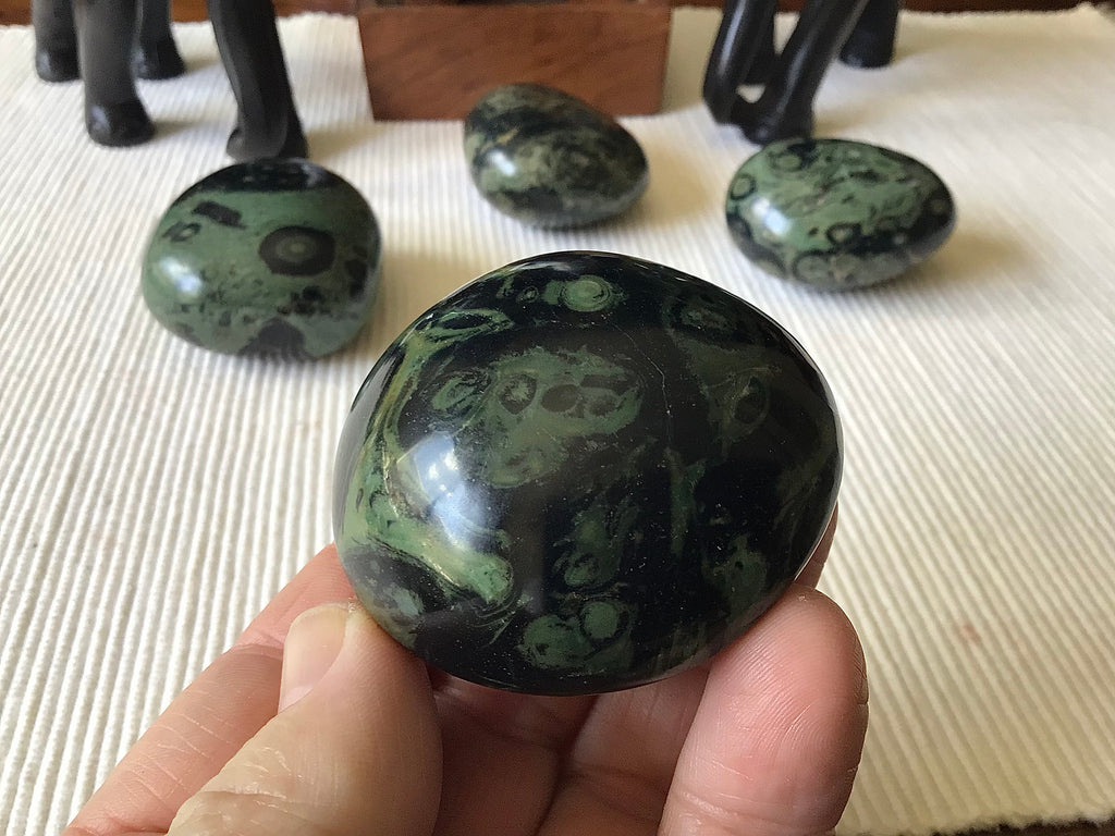 116g Kambaba Jasper Palmstone 3A