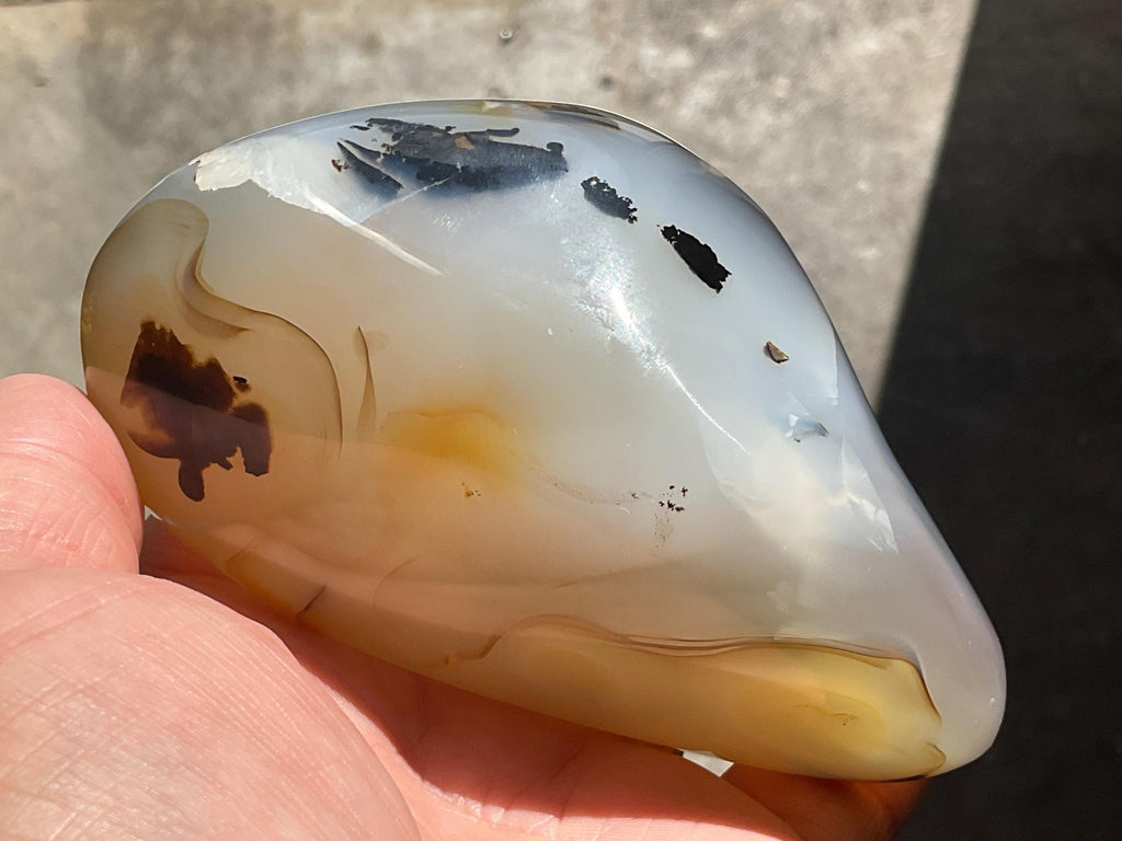540g Dendritic Agate Freeform