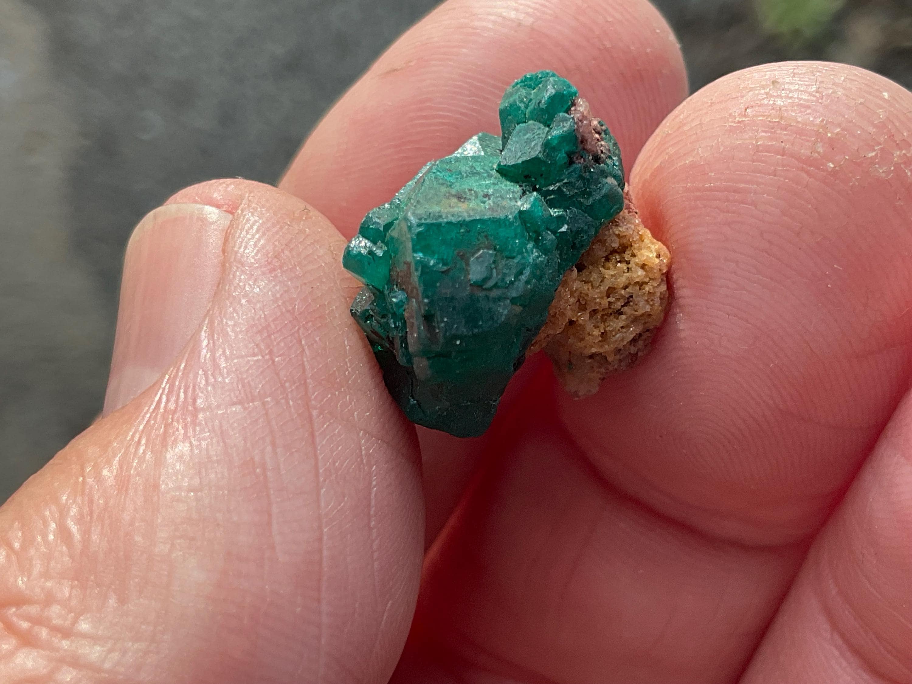 RESERVED FOR ASHRA ** 4g Congolese Dioptase Specimen A