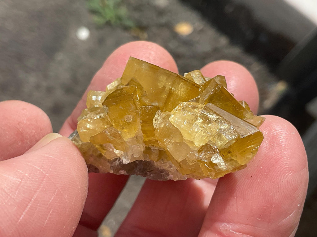 38g Tabular Golden Baryte on Botryoidal Fluorite Specimen 5A from Jiangxi