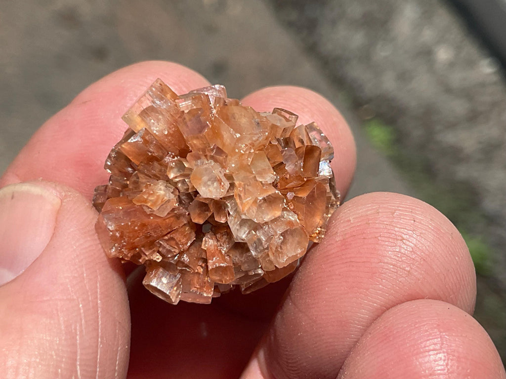 RESERVED FOR JULIA **13g Aragonite’Sputnik’