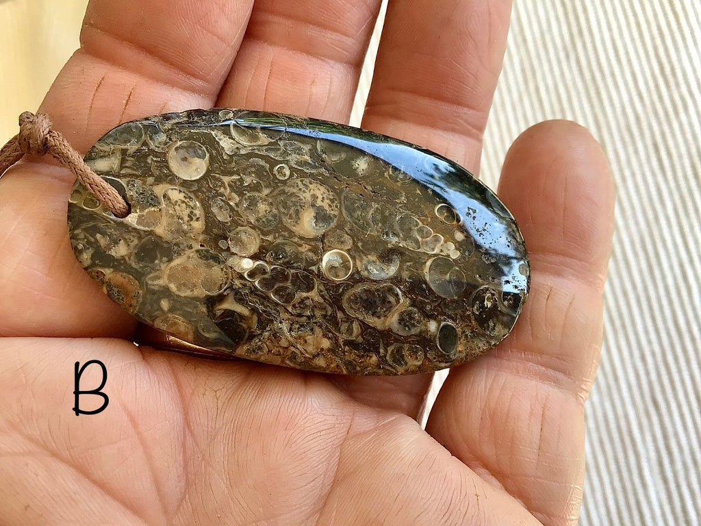 Large Turitella Agate Polished Pendant 1A